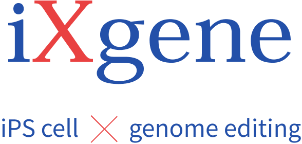 iXgene iPS cell x genome editing