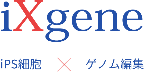 iXgene iPS細胞 x ゲノム編集